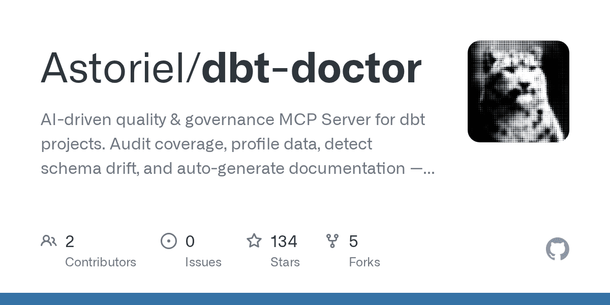 astoriel/dbt-doctor