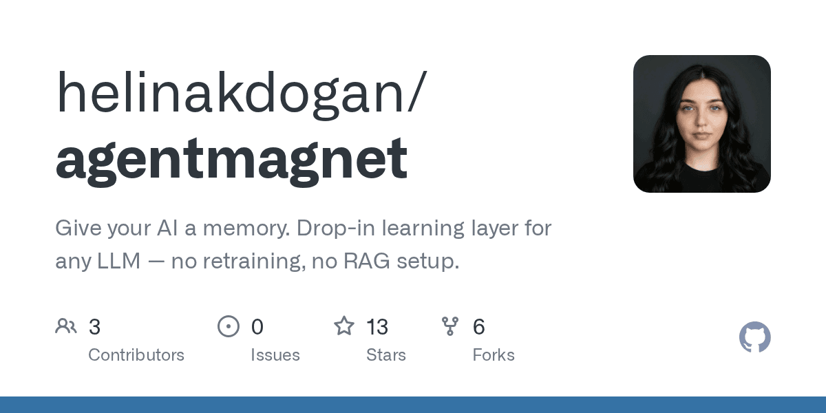 helinakdogan/agentmagnet